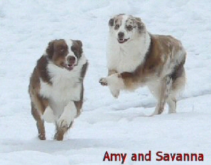 Savanna and Amy 1/6/06