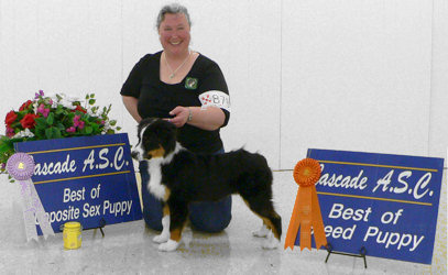 Mystic - Best of Breed Puppy am show, Best Opposite Sex Puppy pm show