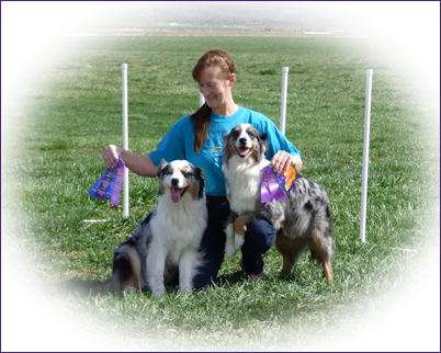 4/2/16 NADAC Agility Q's!