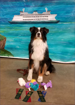 Mystic - May 2019 AKC Rally Novice