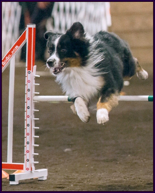 Mystic - Master's Jumpers April 2013