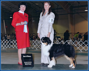 BOW - Wenatchee AKC 9/17/11