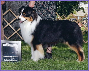 WD - Yakima AKC 6/5/11