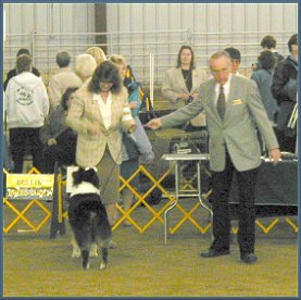 Liam wins Best of Breed 4/12/03