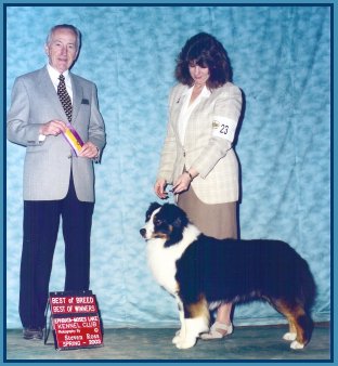 4/12/03 AKC Best of Winners - Best of Breed