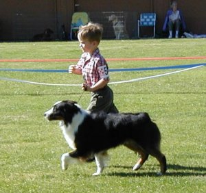 Liam shown by Christopher, Summer Spectacular July 2, 2001