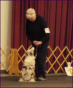 Mauri Rally Obedience Puyallup AKC