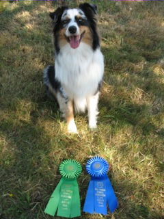 Bean Standard Agility Novice Q 9/13/14