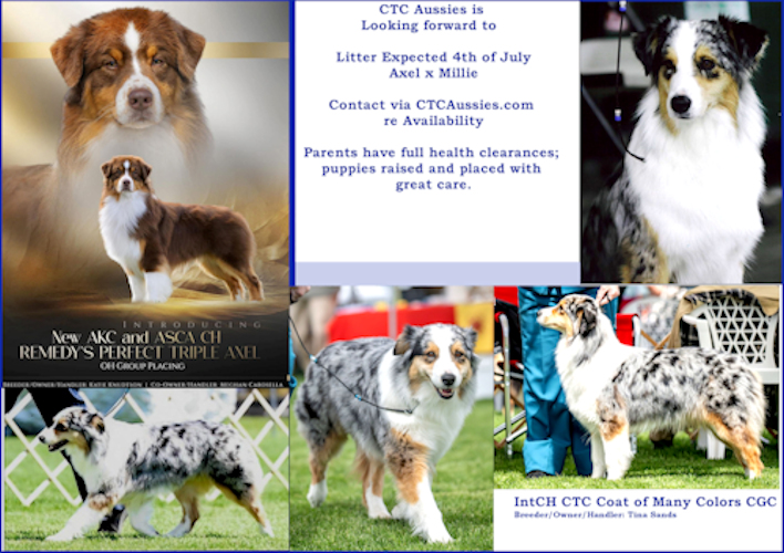 Millie Litter Announcement