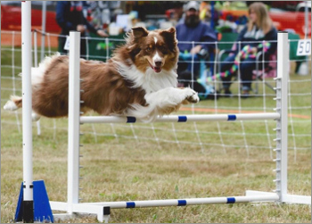 Ruby at Port Gamble 2015