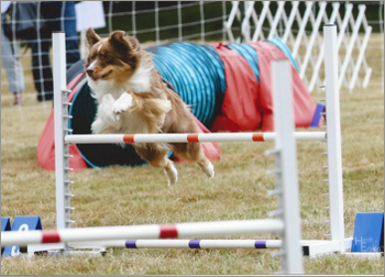 Ruby at Port Gamble 2015