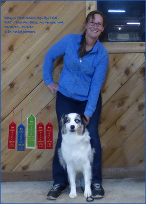 ASCA Agility Nov Jumpers Q!